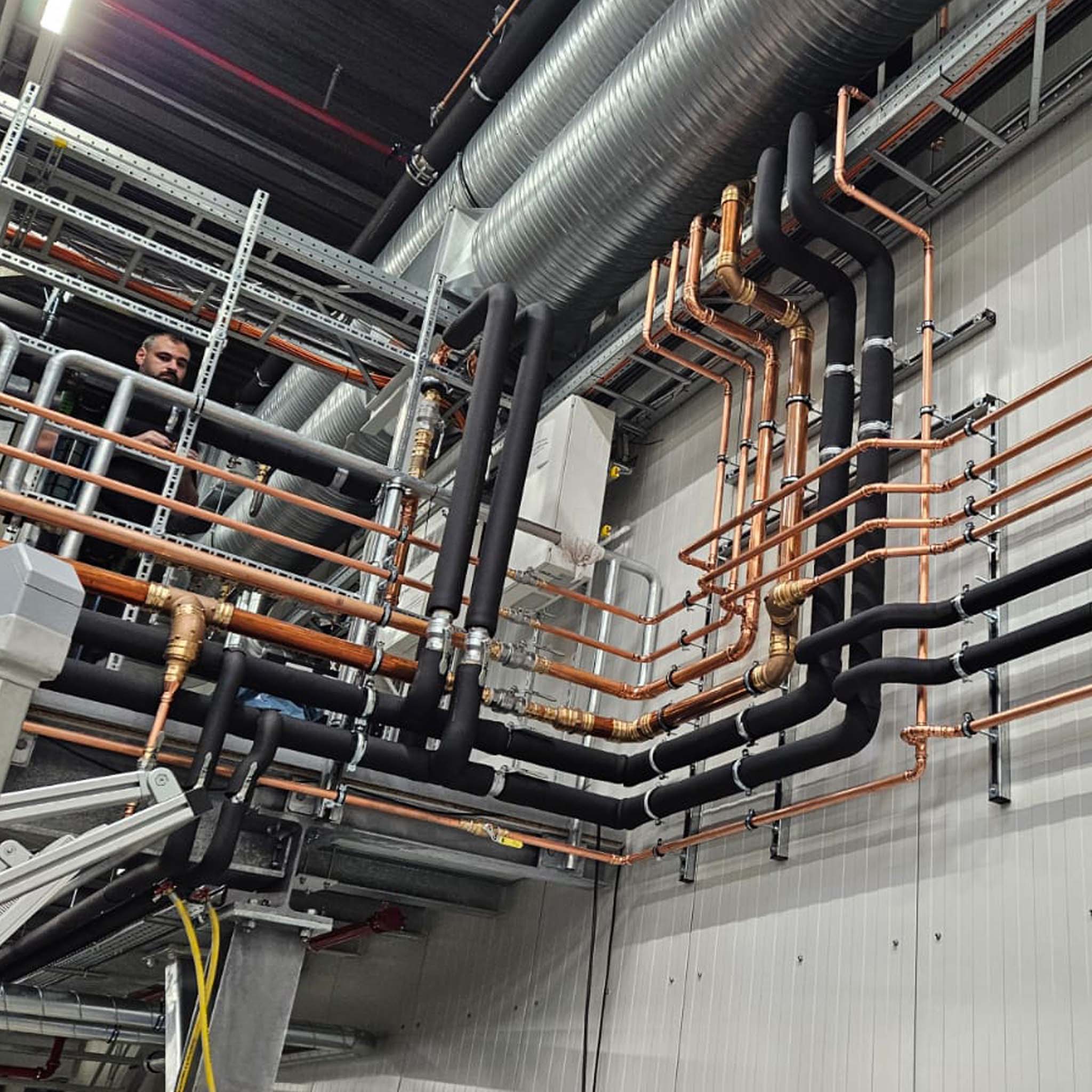 Karrierestart & Weiterentwicklung